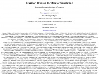 braziliandivorcecertificatetranslation.com Thumbnail