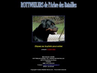 rottweiler-france.com
