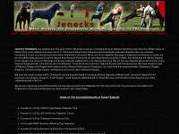 jenecks.com Thumbnail