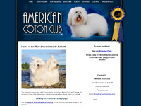 americancotonclub.com Thumbnail