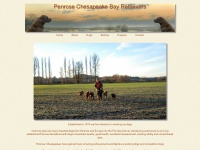 penrose-chesapeakes.co.uk