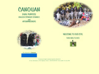 canouan.co.uk Thumbnail
