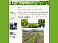Buxus.eu