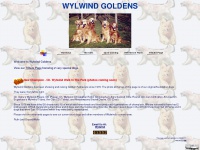 wylwind.com