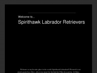 spirithawklabs.com