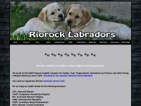 riorocklabs.com Thumbnail