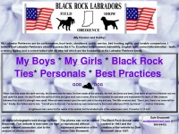 blackrocklabs.com Thumbnail