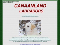 canaanlandlabradors.com Thumbnail