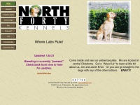 northfortykennels.com Thumbnail