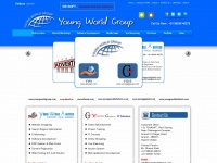 Youngworldgroup.com