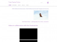 Treefaeriefotos.com