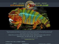 pantherchameleons.co.uk