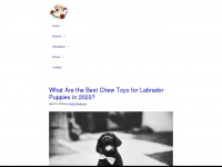 Labradorlifeline.org