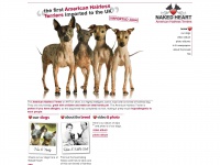 Americanhairlessterrier.co.uk