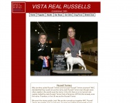 shortjackrussell.com Thumbnail