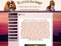 rattlebridge.com Thumbnail