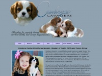 cambrycecavaliers.com Thumbnail