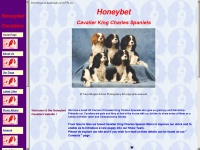 honeybet.co.uk Thumbnail