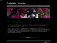 Kachinas.com