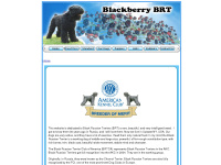 Blackberrybrt.com