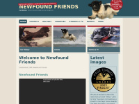 newfoundfriends.co.uk Thumbnail
