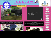 saltydawgpwds.com Thumbnail