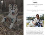 tovik.com Thumbnail