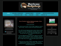 Hurricanehedgehogs.com