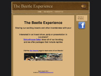 beetle-experience.com Thumbnail