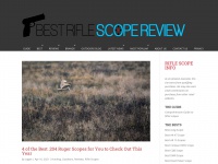 bestriflescopereview.com Thumbnail
