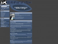brainfish.net