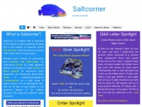 saltcorner.com Thumbnail