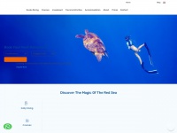 blueocean-eg.com
