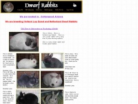 dwarfrabbits.net Thumbnail