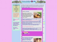 chinchillas4life.co.uk