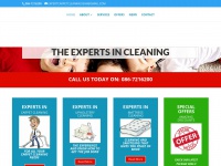 Expertcarpetcleaning.ie