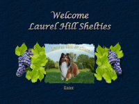 laurelhill-shelties.com Thumbnail