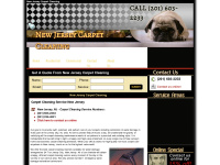 Jersey-carpetcleaning.com
