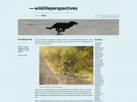 wildlifeperspectives.wordpress.com Thumbnail