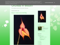 orchidsinbloom-ron.blogspot.com Thumbnail