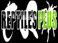 reptilesplus.co.uk Thumbnail