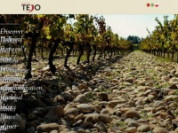 winesoftejo.com Thumbnail