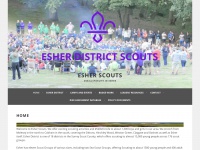 Esherdistrictscouts.org.uk