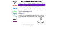 1stcatisfieldscoutgroup.org.uk
