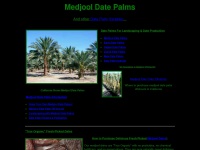Medjool-date-palms.com