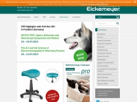 eickemeyer.com Thumbnail