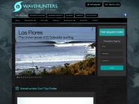 wavehunters.com Thumbnail