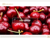 rizzi-group.com Thumbnail