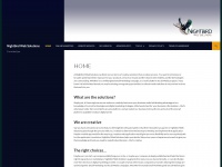 Nightbirdwebsolutions.com