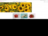 danisaflowers.com Thumbnail
